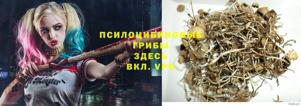 хмурый Богданович