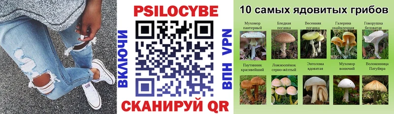как найти закладки  Болотное  Галлюциногенные грибы GOLDEN TEACHER 